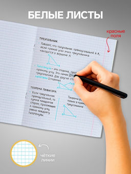 Комплект тетрадей из 10 штук, 24 листа в клетку Calligrata "Пятёрка", обложка мелованный картон, ВД-лак, блок офсет, 5 видов по 2 штуки