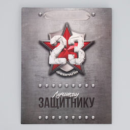 Цена за 2 шт. Пакет подарочный ламинированный, упаковка, «С 23 февраля», MS 18×23×10 см