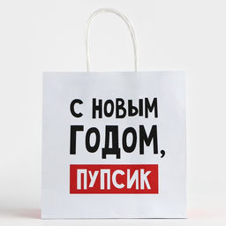 Цена за 2 шт. Пакет подарочный новогодний «С Новым годом, пупсик», 22×22×11 см