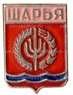 Значок Шарья