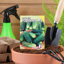 Цена за 5 шт. Семена Огурец "Родничок" F1, 0,2 г