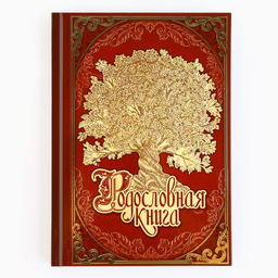 Родословная книга в шкатулке новогодняя «Каждый день», 26×8×27 см