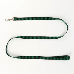 Комплект амуниции рельефный, поводок 120 х 1,5 см, ОГ 36-49 см, зелёно-чёрный - Пижон фото 6