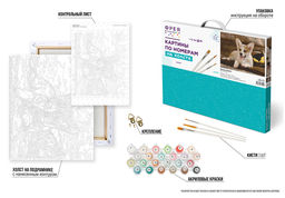 ФРЕЯ PNB/R1 №71 Набор для раскрашивания по номерам 40 х 50 см Вельш-Корги  фото 7