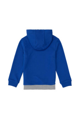 Толстовка Saks для мальчика Неожиданная скидка в корзине - U.s. polo assn фото 2