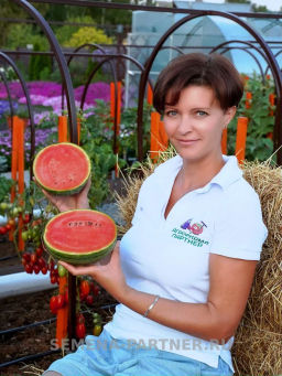 Арбуз Эксперт - Партнер фото 2