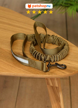 ВВА Поводок-антирывок, со светоотражающими вставками, 2,5 см, нейлон, цвет в ассортименте PS191-2