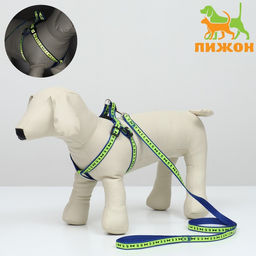 Комплект Косточки и лапки светоотражающий, поводок 120 х 1,5 см, ОГ 36-52 см, синий