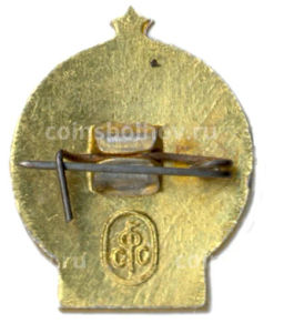 Значок Турист СССР