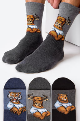 Мужские носки 3 пары Happyfox