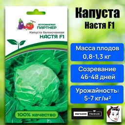 Капуста белокочанная ультраранняя Настя - Партнер фото 7