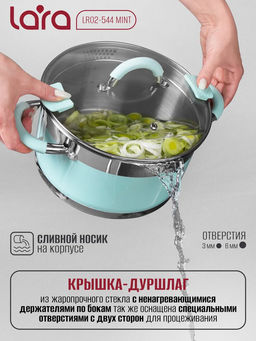 Кастрюля (нерж) MINT 24x13см, 5.7л, носик, индукционное дно, крышка с бортом LR02-544 /LARA/  фото 2