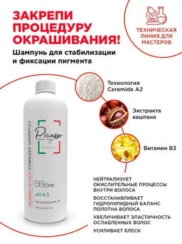 Шампунь Picasso COLOUR RANGE HI-Tech Stabilizer