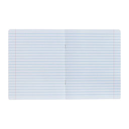 Набор тетрадей 12 листов в линейку Calligrata «Школьная», обложка мелованный картон, микс, 10 шт.