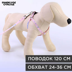 Комплект Ласточки, шлейка 24-36 см, поводок 120х1 см