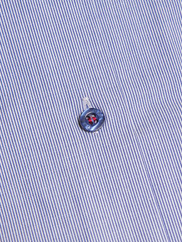 Сорочка мужская длинный рукав GREG 211/231/2245/ZV/1p  фото 2