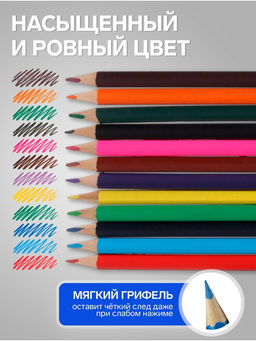 Карандаши Calligrata цветные, 12 цветов, деревянные, трёхгранные, в картонной коробке