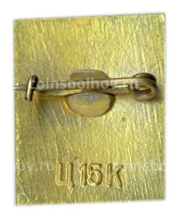 Значок Находка