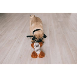 Игрушка мягкая для собак Особая кость, двутканевая, с пищалкой, 20х12 см, бело-коричневая 708725 - Пижон фото 3