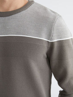 Bisiklet Yaka Renk Bloklu Erkek Triko Kazak