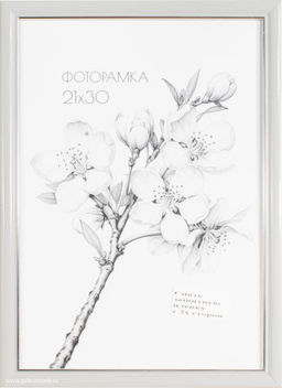 Фоторамка 21x30 с акриловым стеклом / 1503B-012Al2 /уп10 ф - ГалеонТрейд фото 2