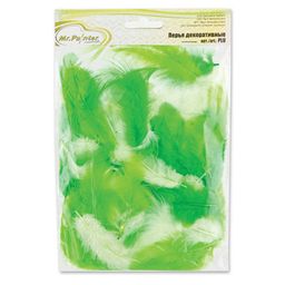 Mr.Painter PLU-04 Перья декоративные 5 - 10 см 5 х 3 г 0.5 г фото 3