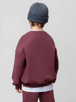 КР 302802/коричневый 1614 к632 джемпер (свитшот) для мал