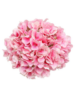 Гортензия древовидная соцветие (без стебля) - Бело-розовый - Real touch фото 2