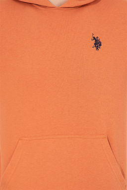 Мужская плитка базовая толстовка Неожиданная скидка в корзине - U.s. polo assn фото 6