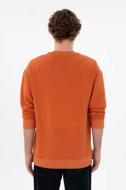 Мужской свитшот цвета корицы Неожиданная скидка в корзине - U.s. polo assn фото 5