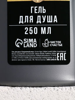 Подарочный набор «Тому, кто создан для побед», гель для душа, 250 мл и шампунь для волос, 250 мл, Чистое счастье