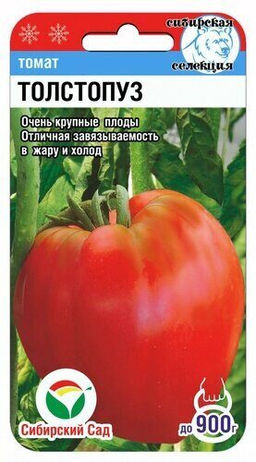 Толстопуз томат 20шт (сс)