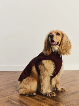 джемпер (попона) для животных / Zarina фото 2