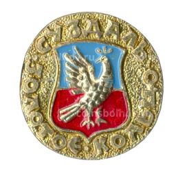 Значок Золотое кольцо - Суздаль