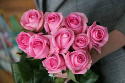 Роза Ревиваль (чайно-гибридная) - 1000корней фото 2