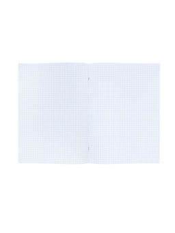 Набор тетрадей Calligrata. VIGO, А4, 2 штуки, 96 листов, обложка из бумвинила, зелёные