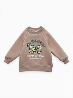 Толстовка футер начёс "Стейн" 30104