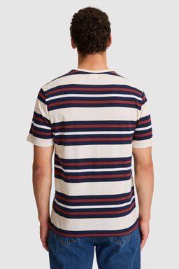 Erkek Krem Regular Fit Bisiklet Yaka TiЕГrt - U.s. polo assn фото 5