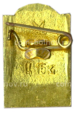 Значок Петродворец