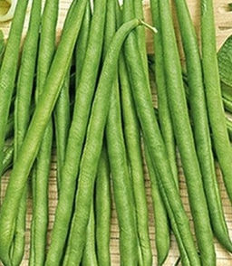 1978A Фасоль овощная Журавушка 15шт (белый пакет)