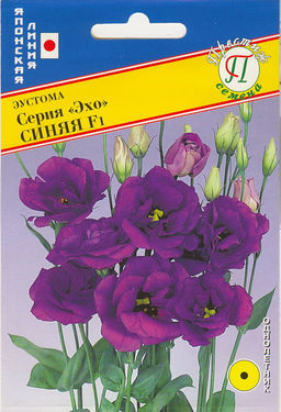 Эустома Эхо Синяя F1 10шт. (Япония) (Престиж)