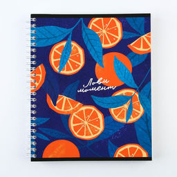 Цена за 3 шт. Тетрадь в клетку, 96 л., А5, на спирали, блок №2 «Лови момент»