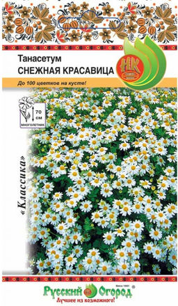 Танасетум Снежная красавица 0,01г (НК)