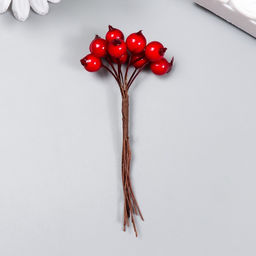 Цена за 2 шт. Декор для творчества «Ягодки красные», 1 букет=10 ягод, d=1 см, 10 см