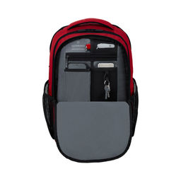 Городской рюкзак VX Sport Evo Daypack VICTORINOX 611411