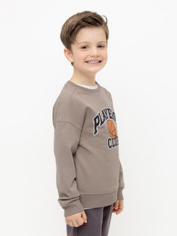 КР 302392/коричневый джемпер (свитшот) для мал