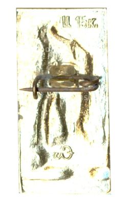 Значок Петродворец