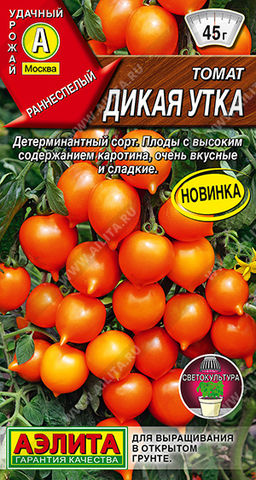 Томат Дикая утка