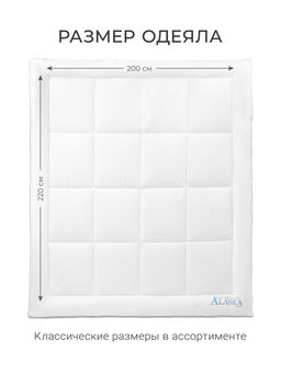 Одеяло Alaska Blue Label 200х220 теплое ЕС-5607 - Espera фото 2