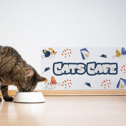 Защитная самоклеящаяся пленка на месте кормления/туалета питомца Кошки-мышки 25х50 см